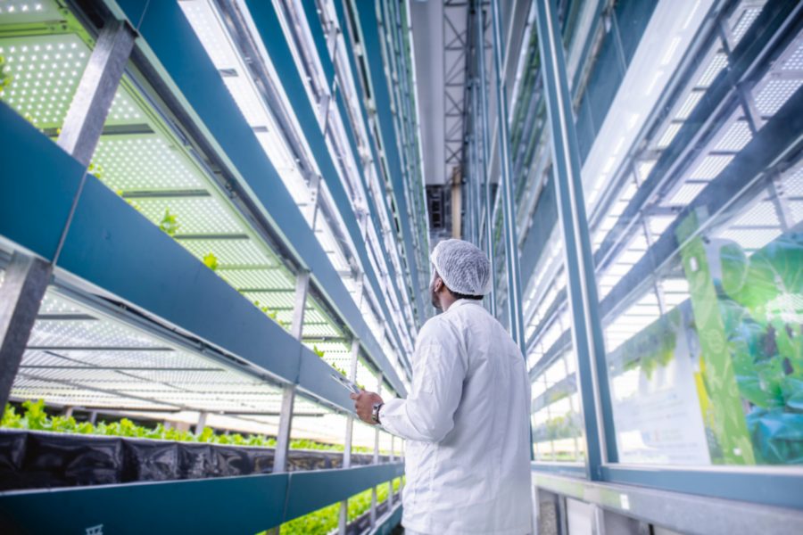 The Future of Vertical Farming Research