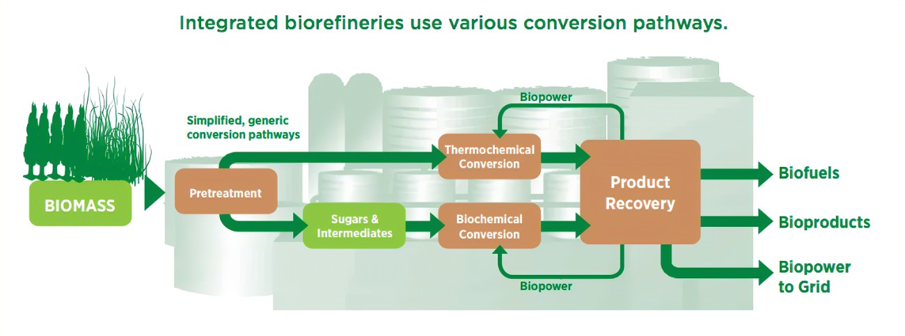 Conversion Technologies: Turning Biomass into Biofuels