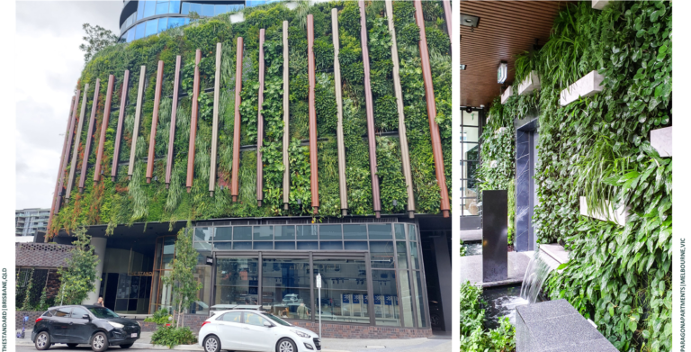 How Vertical Gardens Contribute to Biodiversity Conservation