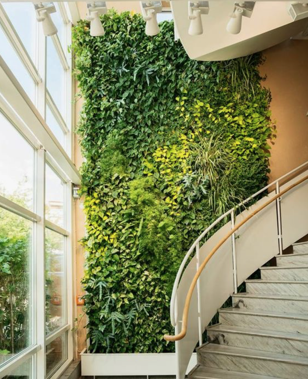 Vertical Gardens: Merging Art and Horticulture for Aesthetic Excellence