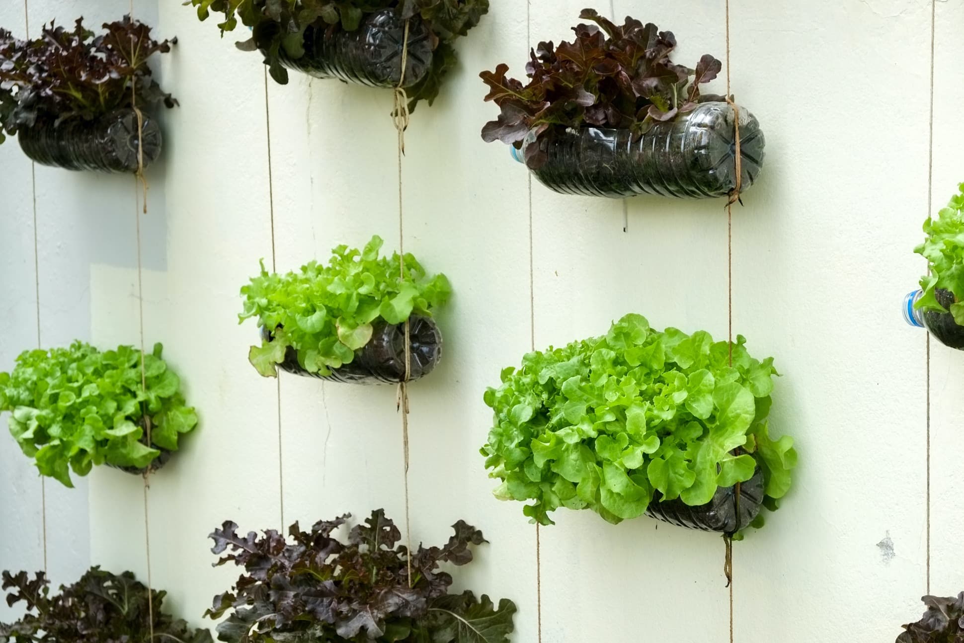 Vertical Garden Wall Materials