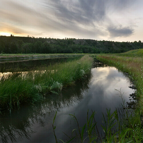 Wastewater Treatment and Biodiversity Conservation