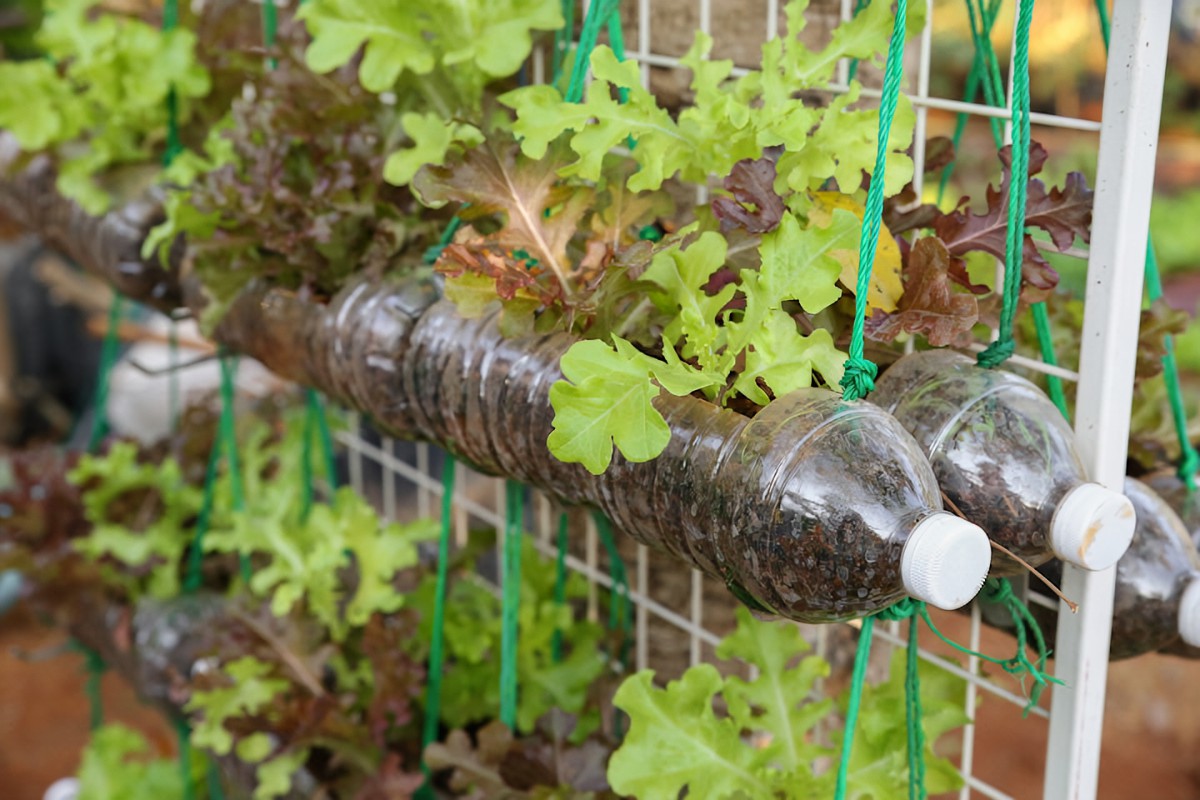 Sustainable Materials for Vertical Gardens