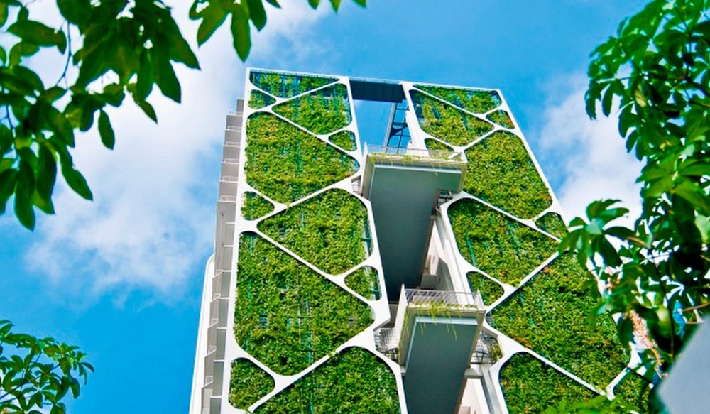 Vertical Gardens and Their Impact on Property Values