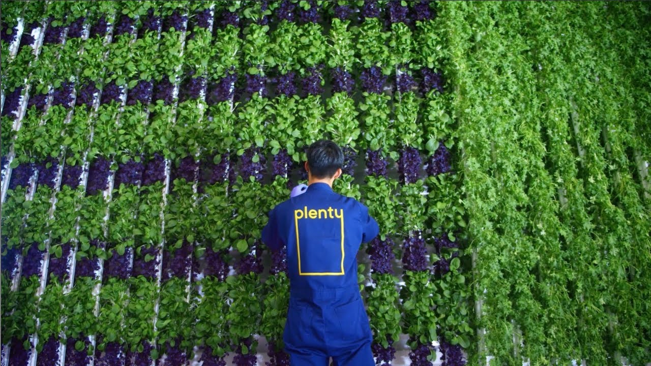 The Future of Vertical Farming Research