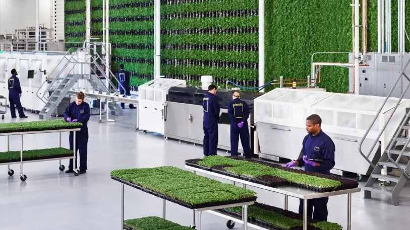 Vertical Farms in Industrial and Retail Spaces