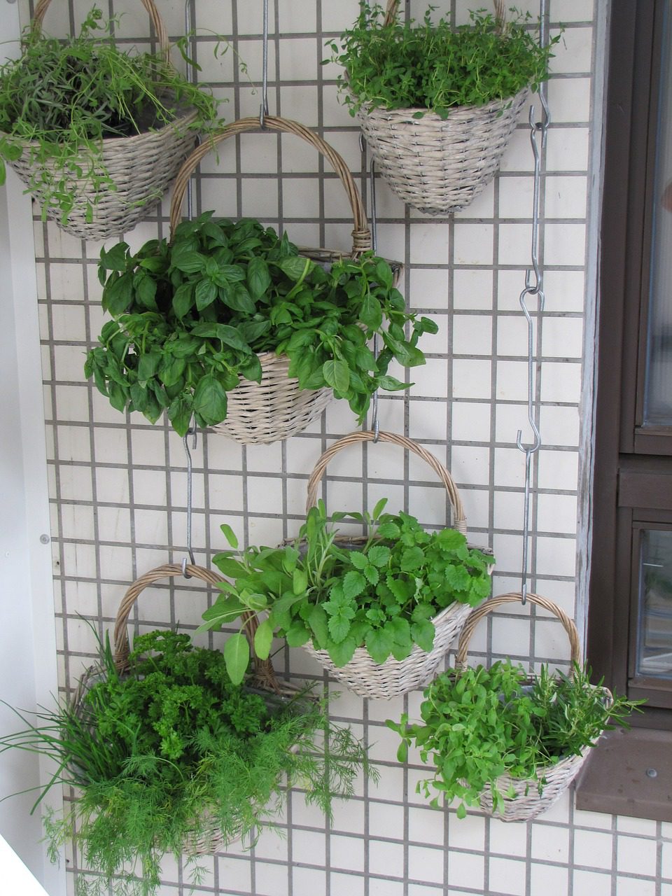 Budget-Friendly Vertical Garden Ideas