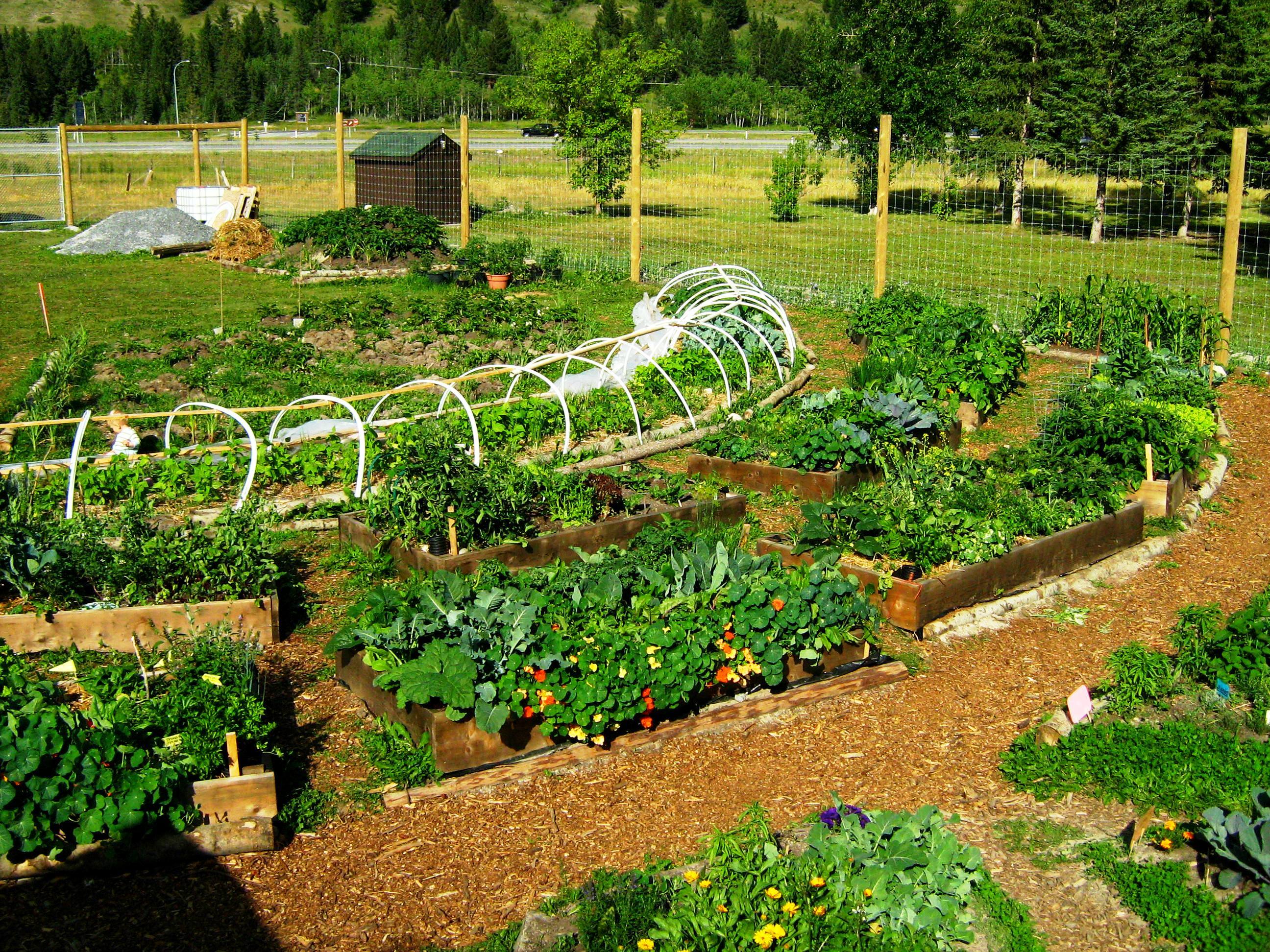 Vertical Gardening and Permaculture