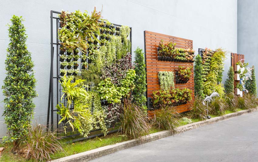 The Science of Vertical Gardening: Why Plants Thrive in Vertical Spaces