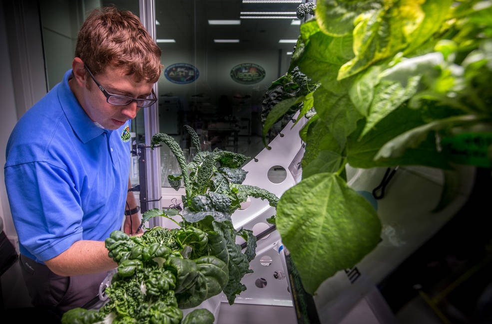 Vertical Farming and the Future of Space Exploration