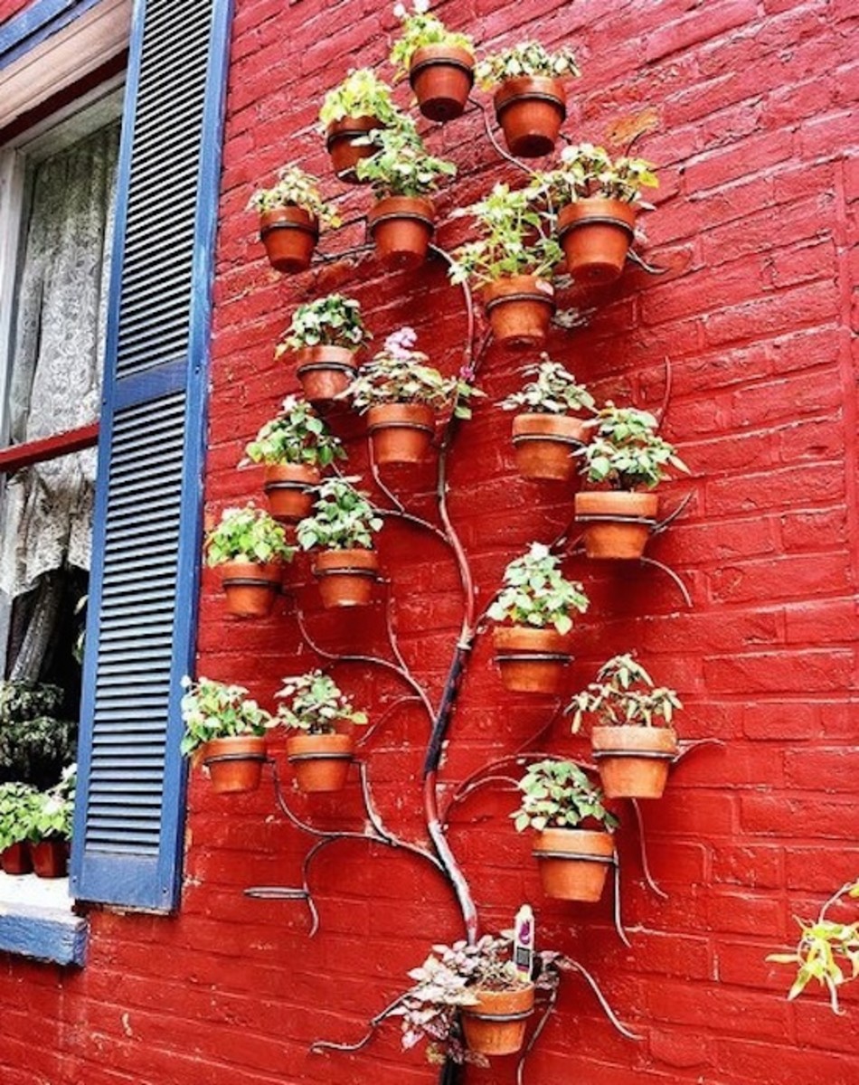 Vertical Garden Design Ideas