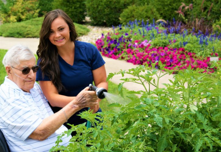 Mental Health and Vertical Gardens