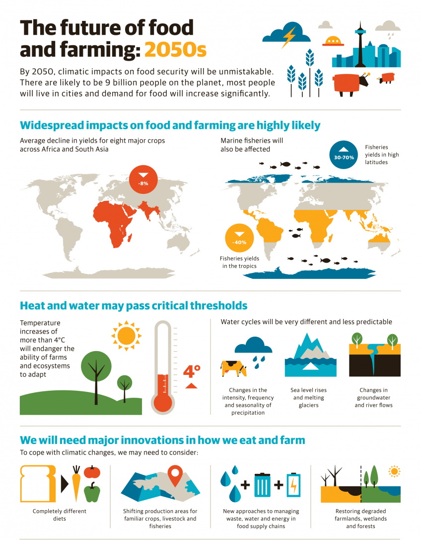 The Global Impact of Vertical Farming on Food Security