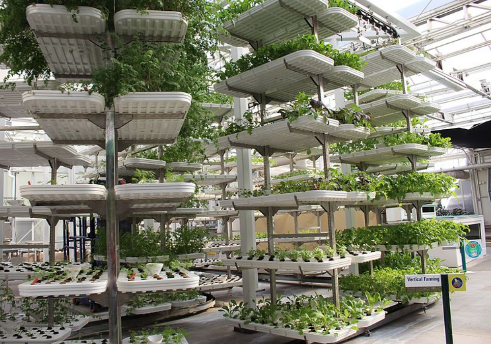 Vertical Farms: A Sustainable Investment Opportunity