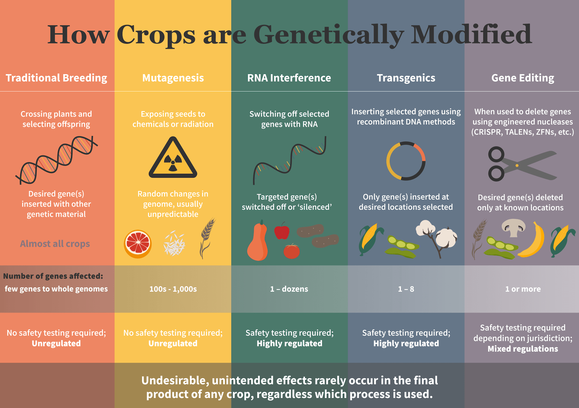 Vertical Farming and the Ethics of Genetic Modification