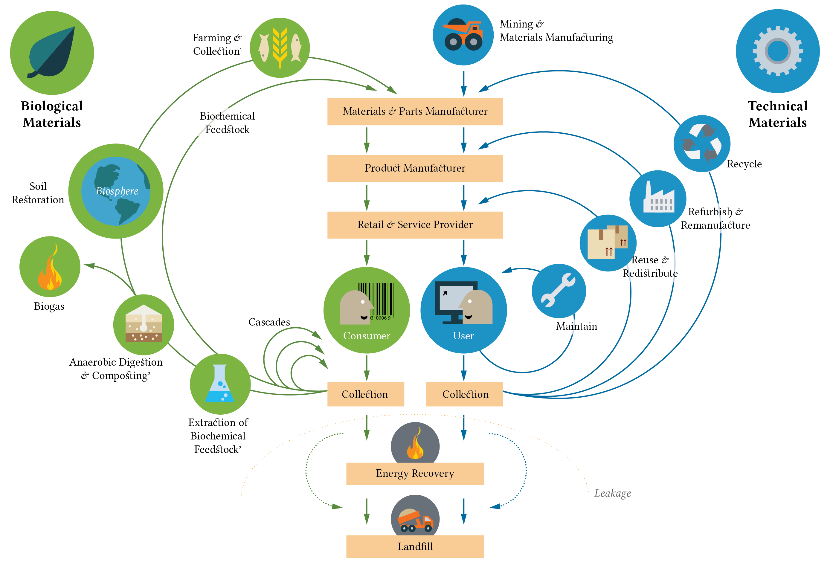 Vertical Farming and the Circular Economy of Agriculture