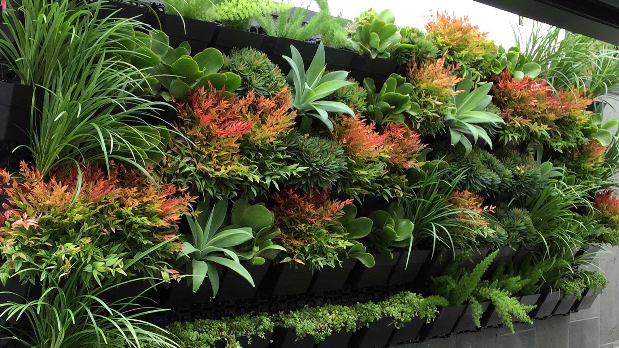 Choosing the Right Plants for Your Vertical Garden