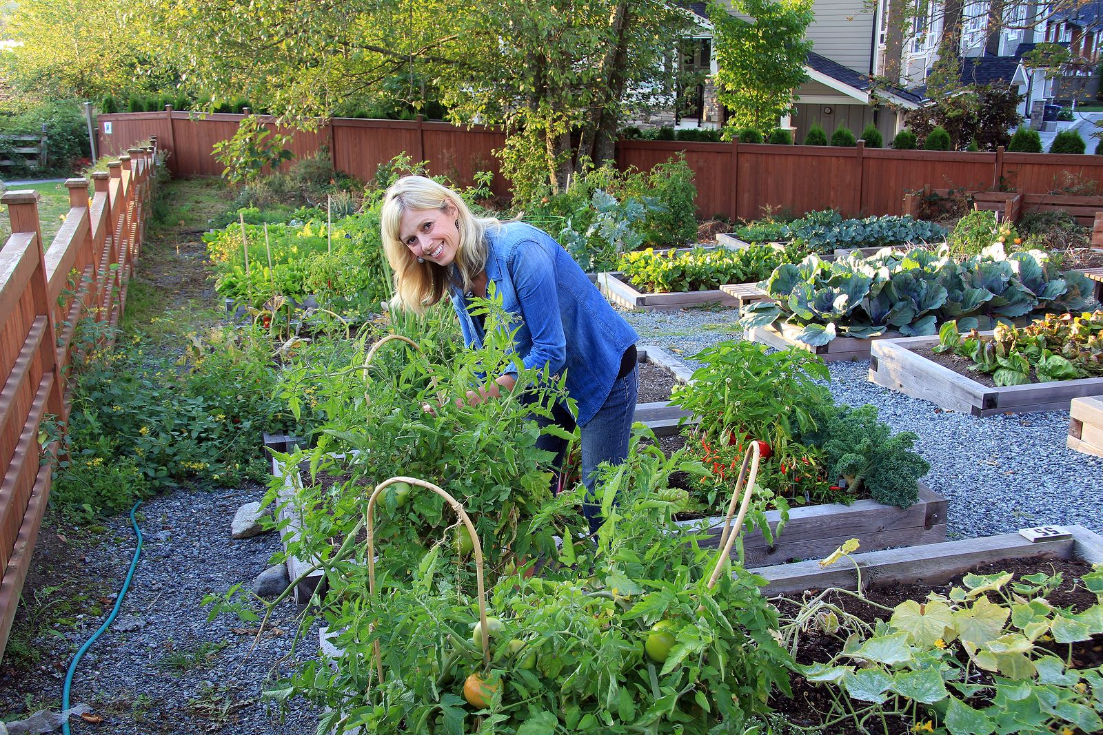 Troubleshooting Common Vertical Garden Issues