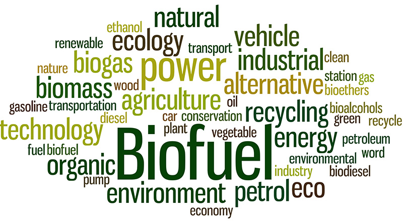 The Ethical Imperative of Biofuels: A Thought Leader's Perspective