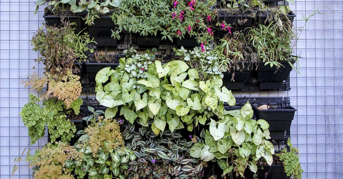 Choosing the Right Plants for Your Vertical Garden