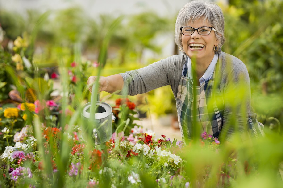 Mental Health and Vertical Gardens