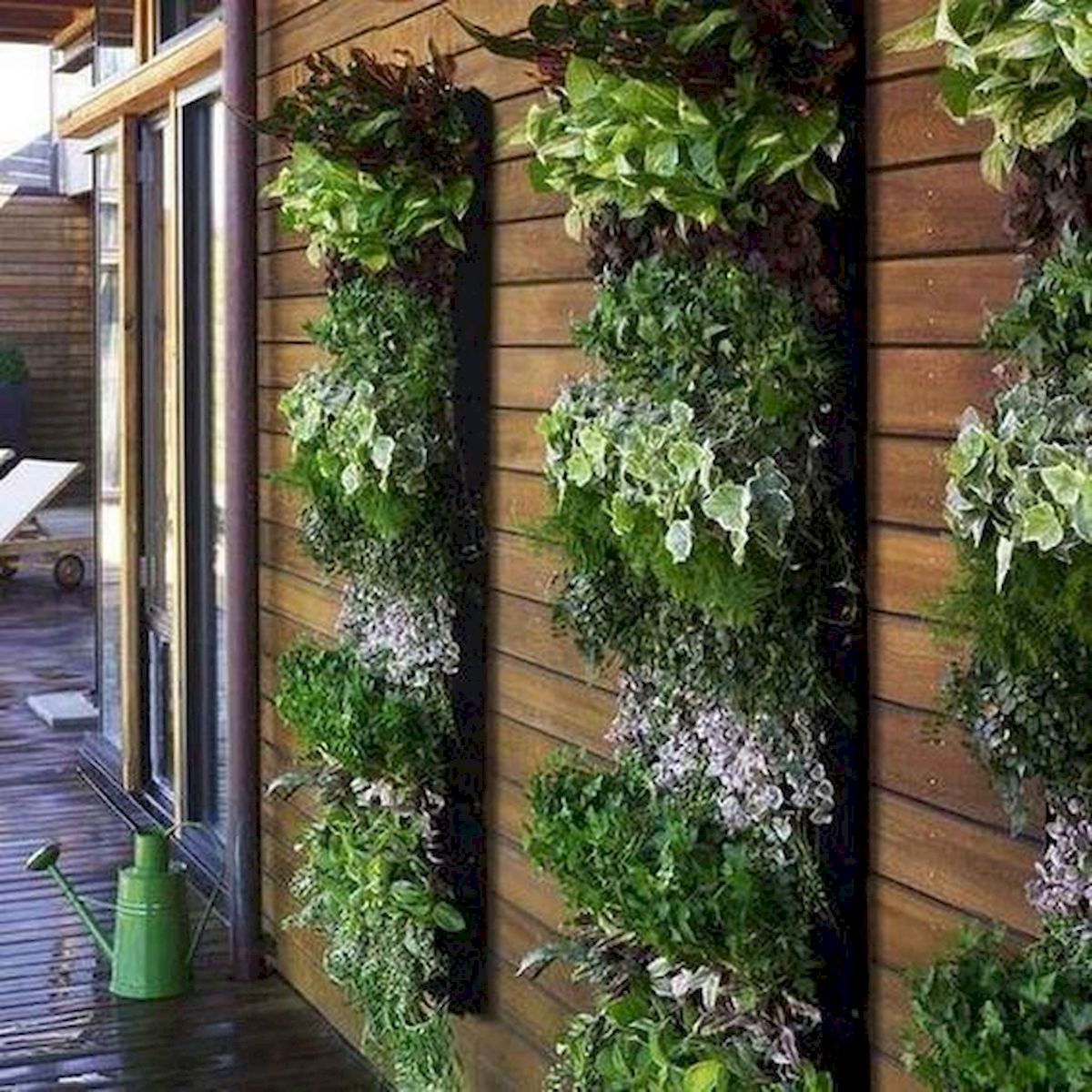 Aesthetics and Beauty of Vertical Gardens