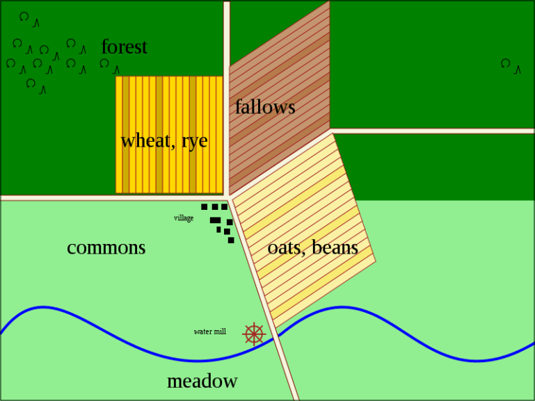 Crop Rotation and Biofuel Production