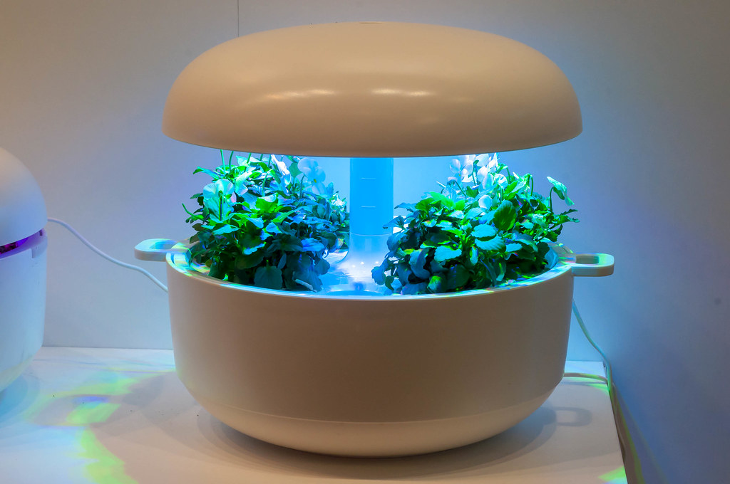 Smart Vertical Gardens: The Future of Gardening