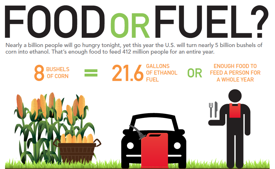 Ethanol as a Renewable Fuel Source