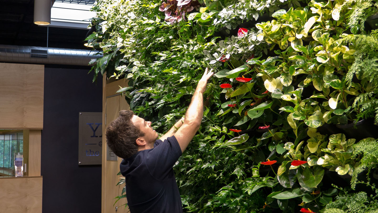 Vertical Garden Maintenance Tips