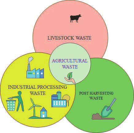 Sustainable agriculture and organic waste management