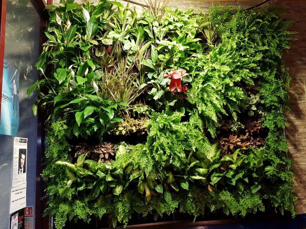 Choosing the Right Plants for Your Vertical Garden