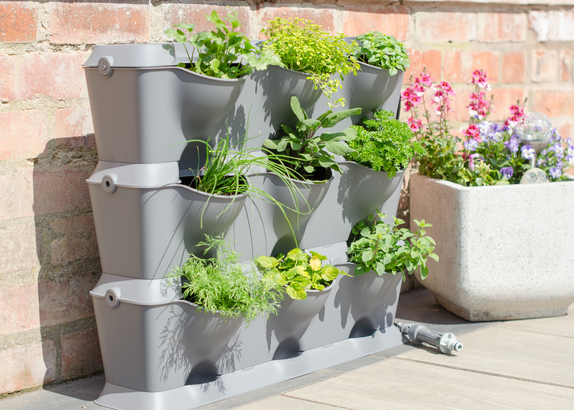 Seasonal Care for Vertical Gardens