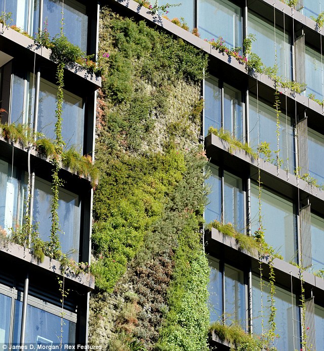 Vertical Gardens in Real Estate