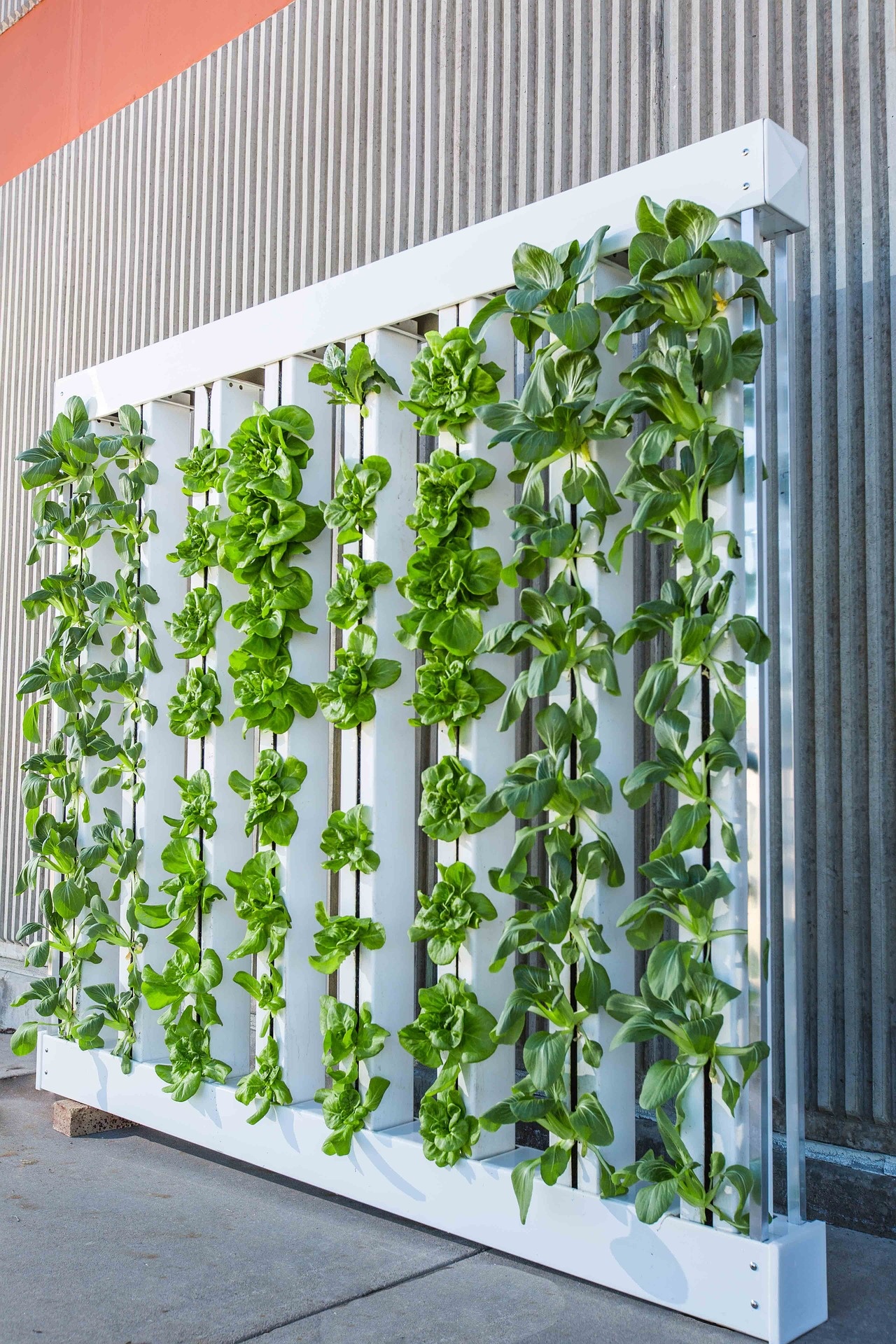 Step-by-Step Guides for Building Your Vertical Garden