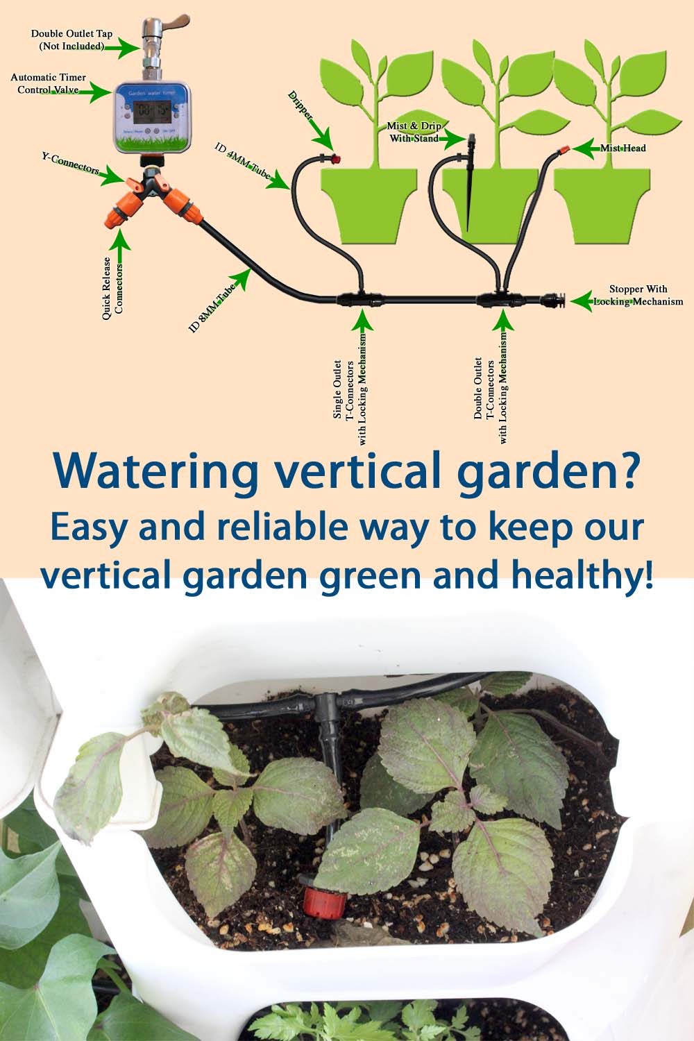 Vertical Gardens and Water Conservation