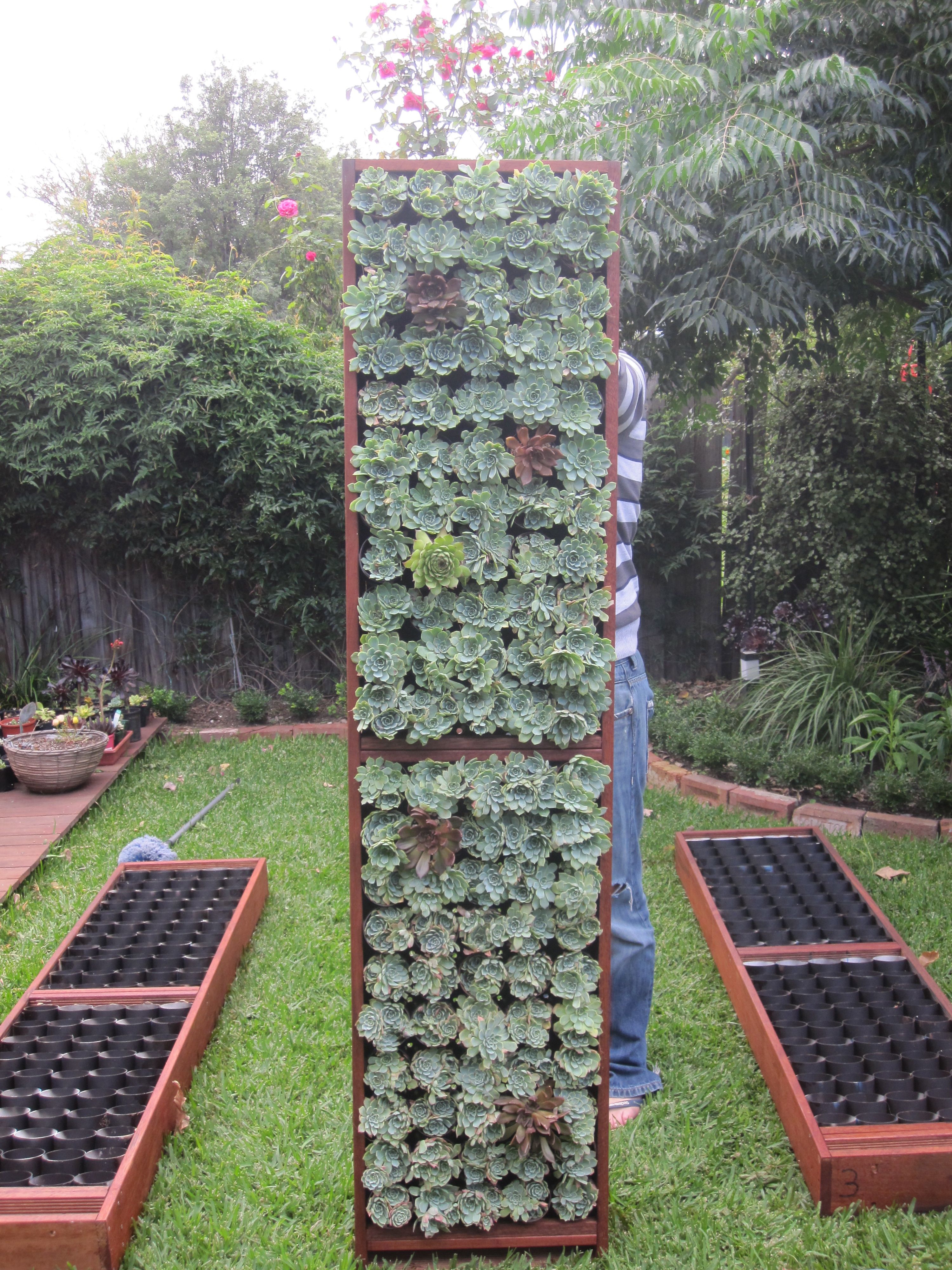 Exploring the Therapeutic Potential of Vertical Gardens