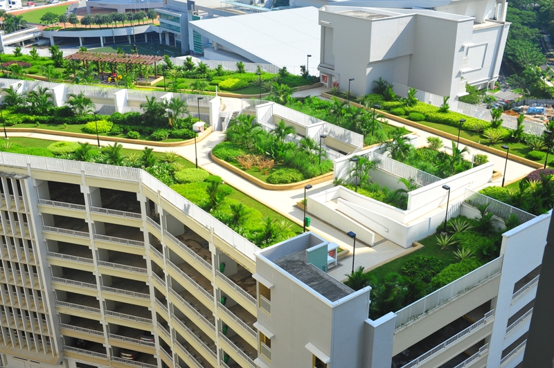 Vertical Gardens: A Green Solution to Urban Heat Islands