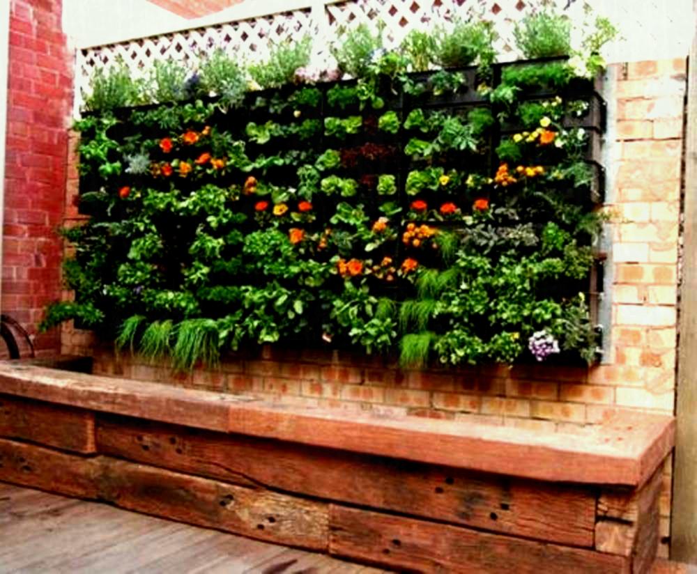 Vertical Gardening for Climate Change Mitigation