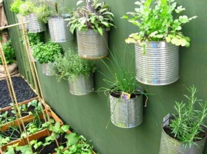 Vertical Gardens as a Solution to Food Security Challenges