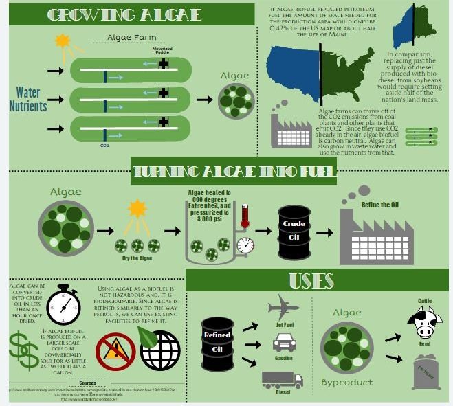 Algae Biofuels: Prospects and Challenges