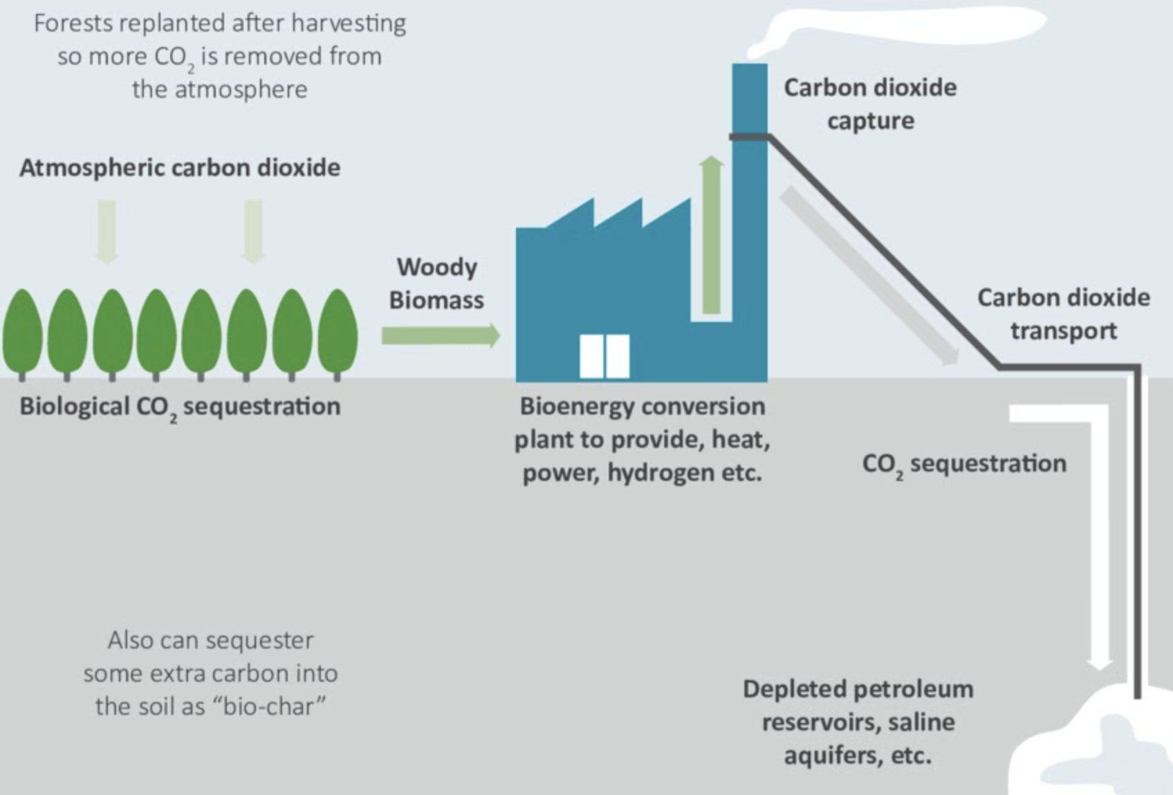 Carbon Sequestration and Biofuels