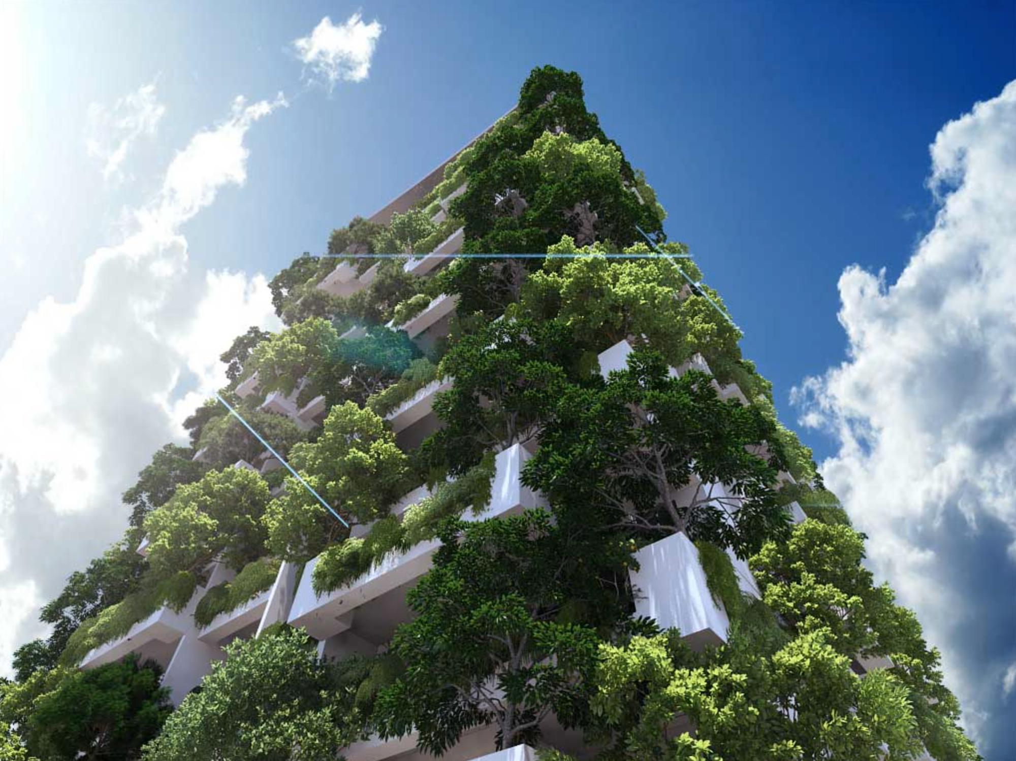 Vertical Gardens and Their Impact on Property Values