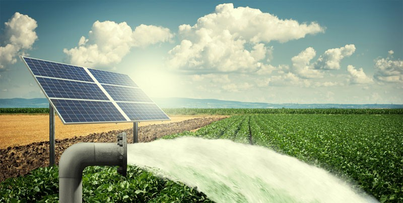 Solar-Powered Agriculture: Revolutionizing Food Production