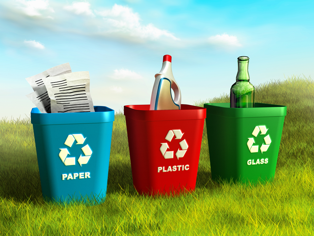 The Economics of Recycling: Challenges and Opportunities