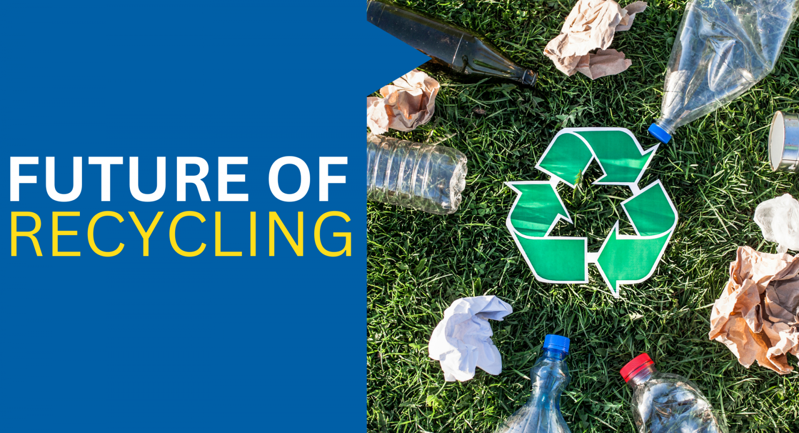 The Future of Recycling: Predictions and Possibilities