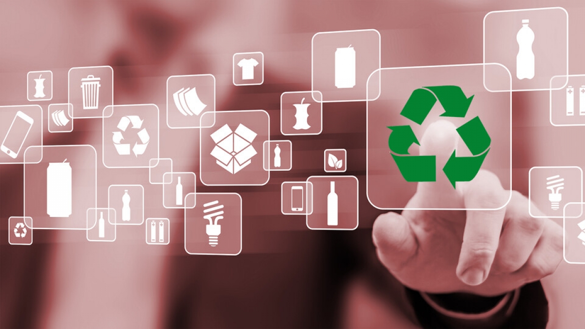 The Role of Government Policy in Shaping Recycling Habits