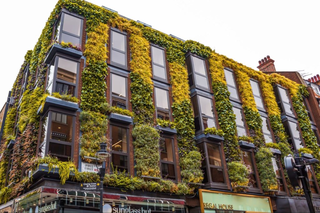 Aesthetics and Beauty of Vertical Gardens