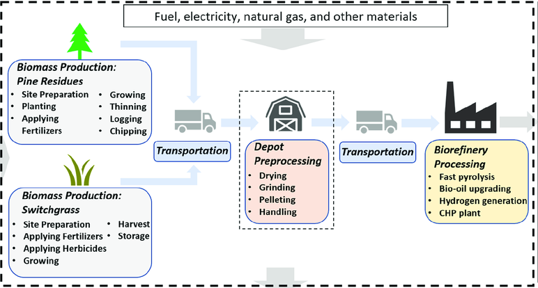 The Role of Feedstocks in Biofuel Production