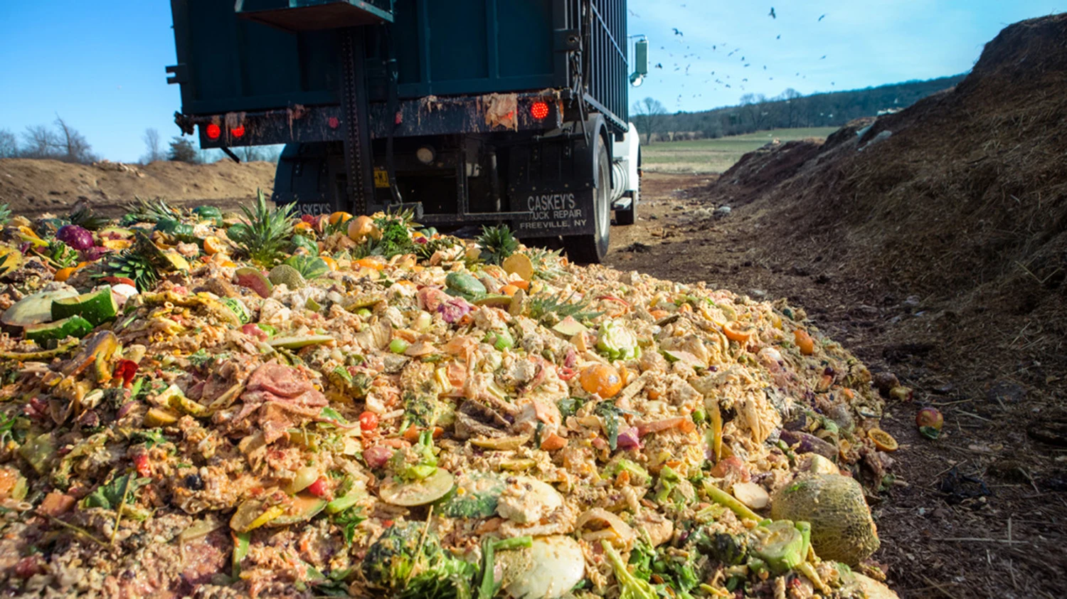 Anaerobic Digestion: Turning Organic Waste into Energy